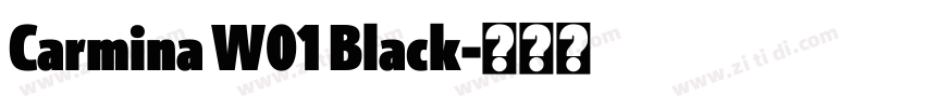 Carmina W01 Black字体转换